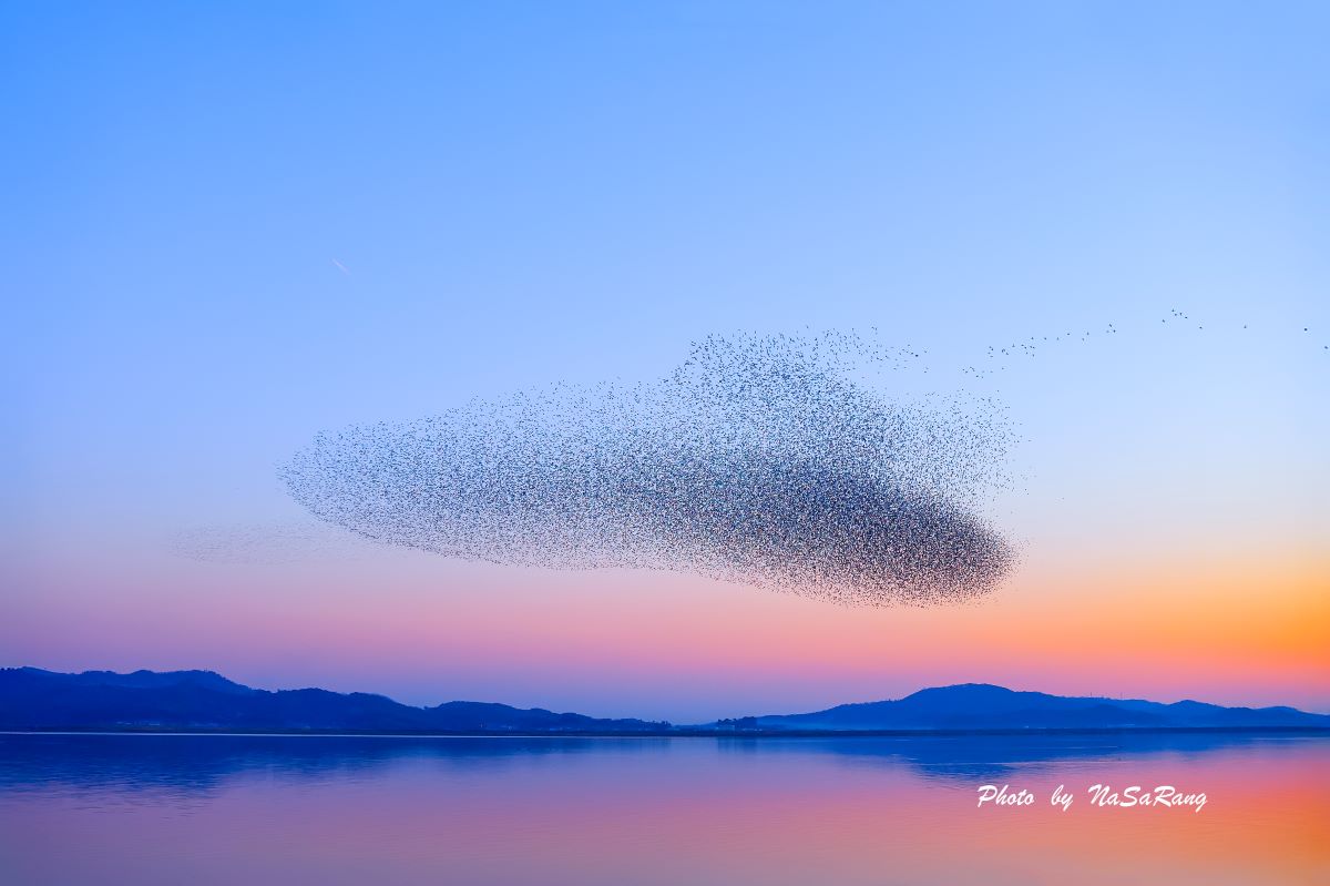 2025040517102938fe1f01484b8529f51679ea1e0e0967a16bb38d.jpg