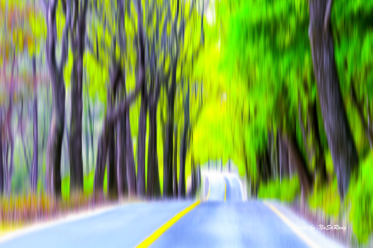20250429173717ba1e9644fd9e033a0a83bdf0bbf6536ade5ddc0a.jpg