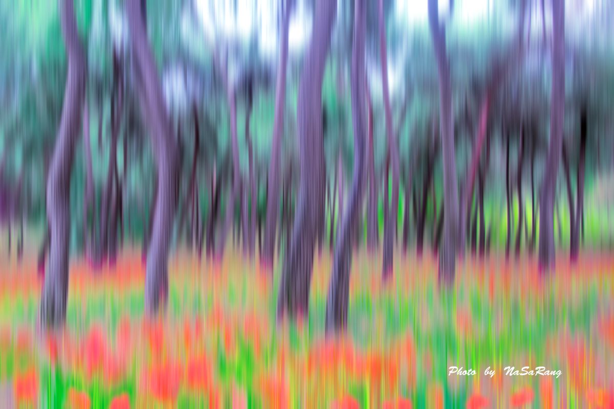 2025100510473653e8c99ff415844d31e2ffce855b793651965be6.jpg