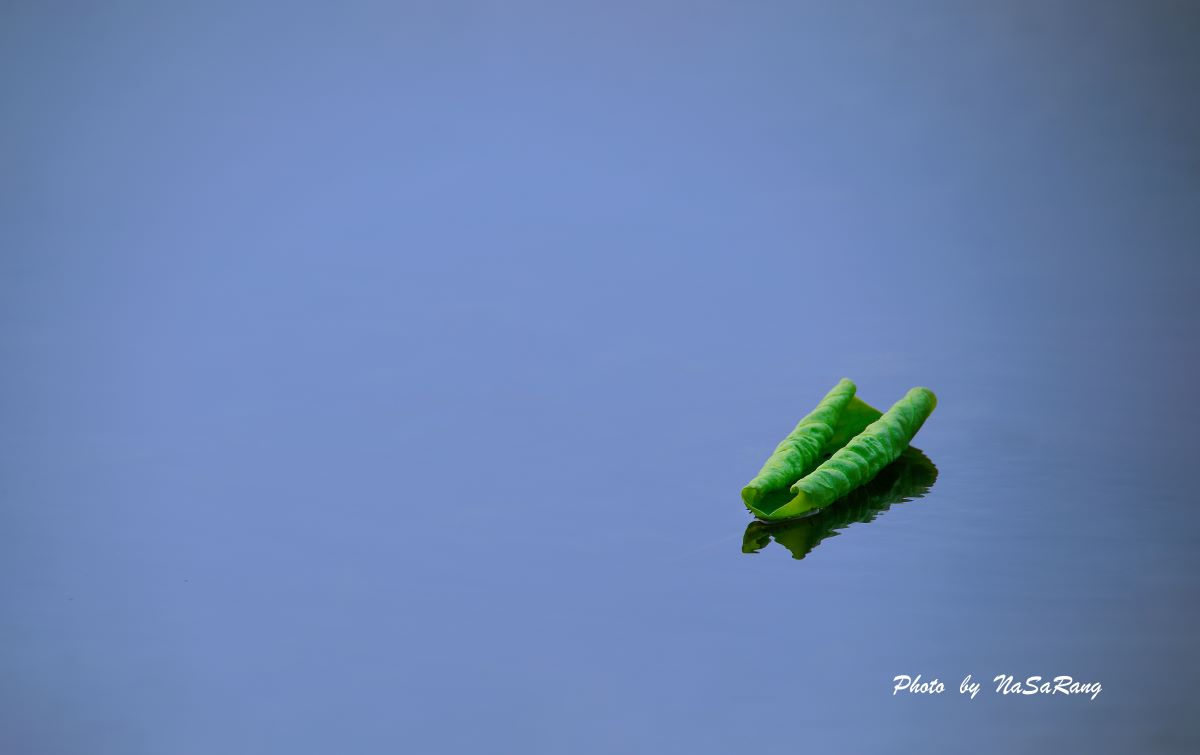 20250803133159ee63111188bead5710ade8a0b8805728c07a60e3.jpg