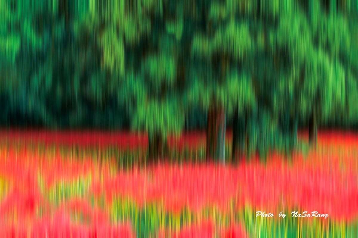 202509300809253d199da8850a485819fd36dd987627dd328923da.jpg