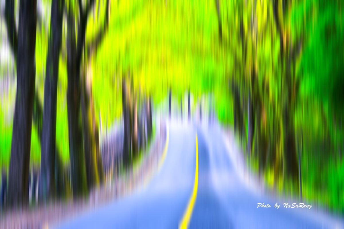20250423183232f15dc9d10404a00babf42f6b8b917c164f699ee7.jpg